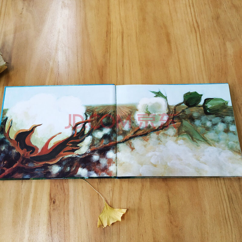 童立方·凯迪克银奖绘本:摘棉花