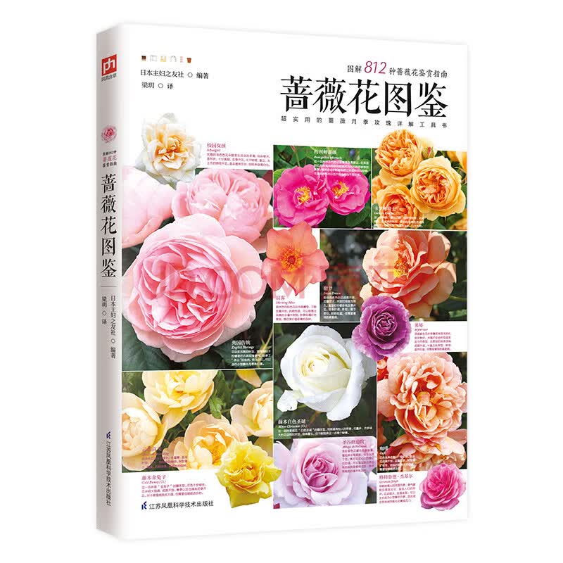 蔷薇花图鉴-海擎商城