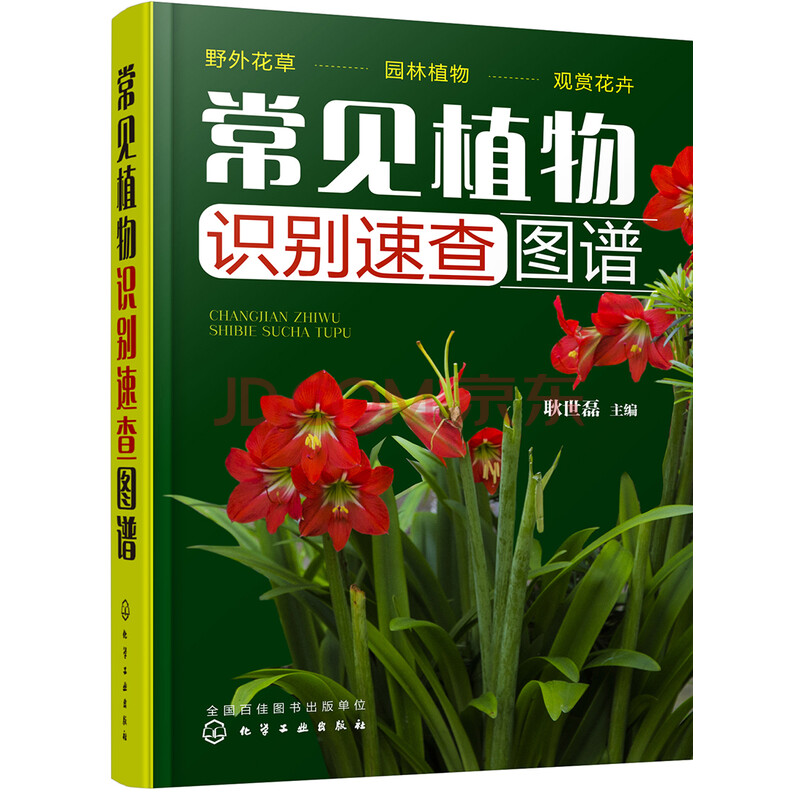 常见植物识别速查图谱