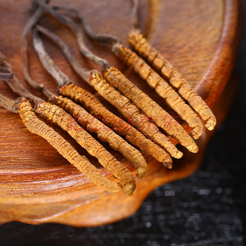 【京东超市】同仁堂 总统牌 虫草 冬虫夏草-50/13g(礼盒)