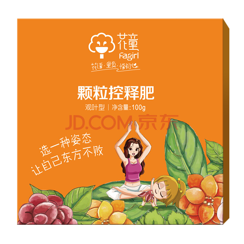 【京东超市】花童 家庭园艺缓控释肥颗粒 观叶型园艺花肥料复合肥 100