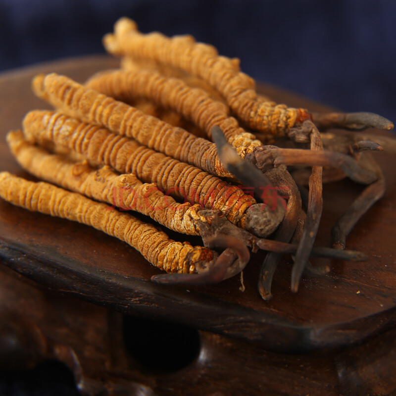 【京东超市】半山农 冬虫夏草礼盒 5条/克 5克礼盒 精选品质 西藏那曲