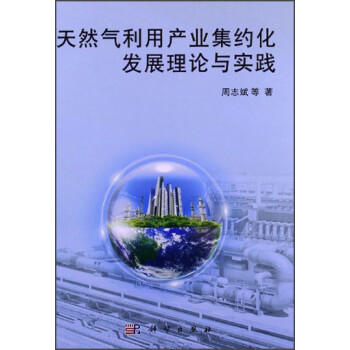 天然气利用产业集约化发展理论与实践