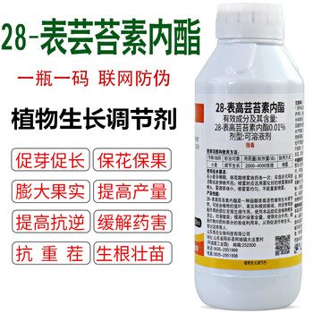 宝世家洁10烯丙氯菊乳油驱灭苍蝇除蚊子药水酒店公园喷雾杀虫剂