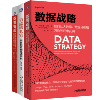 数据新基建：数据战略 增长 变现三部曲 共3册