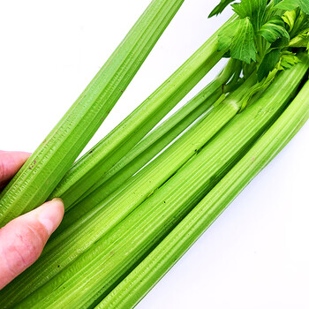 洒然 新鲜西芹2斤 绿色蔬菜 大芹菜 洋芹菜