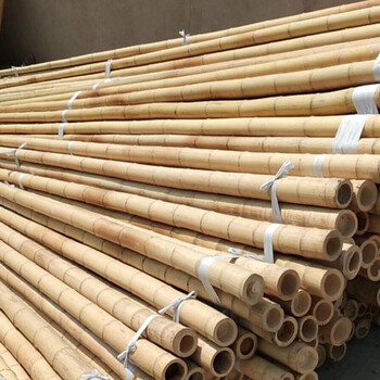 竹竿 2米高成捆防腐小竹竿竹豆角黄瓜架菜园搭架彩旗杆粗细竹杆子定制