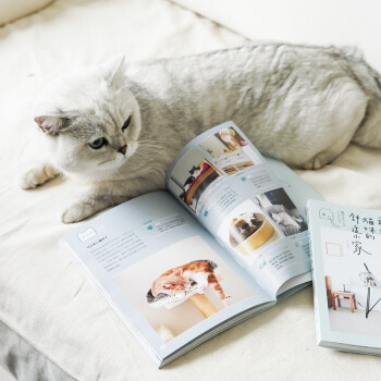 我和猫咪的舒适小家 矢野美沙绘 中信出版社