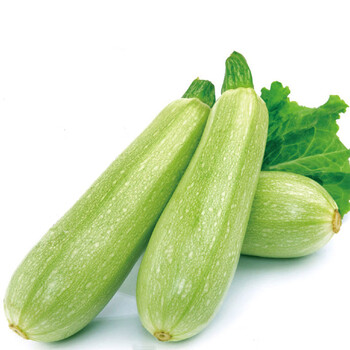 美园中(meiyuanzhong)西葫芦种子 占瓜 花草瓜水果