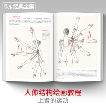经典全集《全解人体结构》艺术用解剖学工具书籍素描美术绘画入门教程肌肉运动造型形体手绘技法笔记图集教材