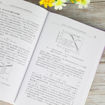 负电容场效应晶体管特性及其解析模型研究（清华大学优秀博士学位论文丛书）