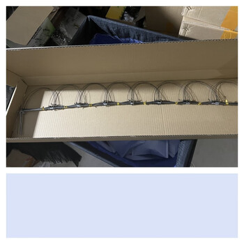 仿真鸡标本竹鸡模型新款竹鸡标本模型摆件仿真竹鸡标本 8圈钢丝(10个)