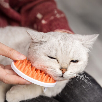 领卓宠物猫咪磨牙棒 幼猫咬棒 洁齿零食棒 洁齿啃咬玩具 木天蓼棒l yp