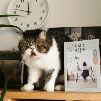 我和猫咪的舒适小家 矢野美沙绘 中信出版社
