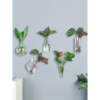 水培花悬挂式水养植物绿萝白掌墙挂花瓶 含绿植 中半圆 无痕钉(配图中