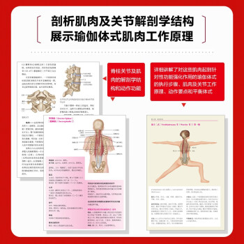 瑜伽功能解剖学 基于肌肉结构与功能的精准瑜伽体式图解 修订版