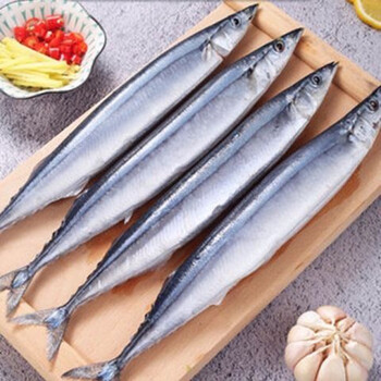 蕾拉古蒂 秋刀鱼鲜活速冻深海日式烧烤刀鱼海鲜水产 秋刀鱼3斤装