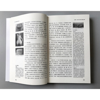中国艺术设计史（增补版）
