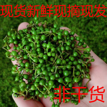 现货湖南特产山胡椒新鲜 山椒子木姜子山苍子 新鲜山胡椒1斤