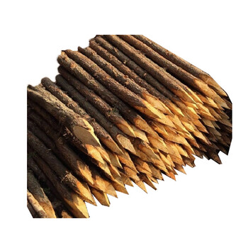 博军易选  木桩 防汛用木桩抗洪抢险河道救援防汛木桩削尖木桩木方