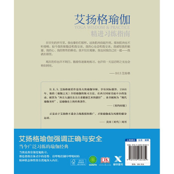 DK经典科普系列：艾扬格瑜伽-精进习练指南（艾扬格大师亲授，一本书讲透瑜伽。）