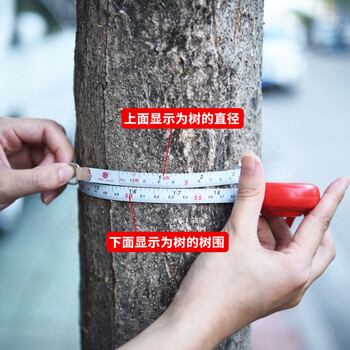 太平洋2米不锈钢测树钢围尺胸径尺测树尺2m直径尺树径卷尺量树尺 两把