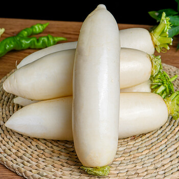 白萝卜当季生吃甜脆水果长胡萝卜 5斤