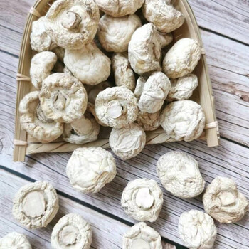 内蒙古特产新货特级口蘑干货食材 白蘑菇干 特级口蘑干货500g