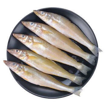 森图鲜 新鲜沙丁鱼冷冻批发鲜活速冻沙钻鱼国产海鲜沙尖鱼 14-15条/1