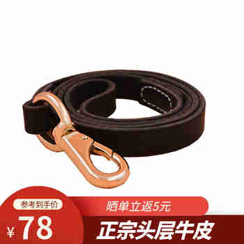AYOUA 狗链牵引绳项圈 中大型犬狗绳子牛皮金毛狗链拉布拉多马犬德牧 黑色长1.1米 牵引绳（不含项圈）