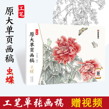 工笔画原大单页画稿虫蝶 中国画白描入门篇 国画临摹画册 线描画册 临摹 手绘描摹本绘画 工笔画临摹画册 国画入门 工笔白描底稿临摹本