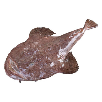 大菜園 新鲜安康鱼 鲜活冷冻老头鱼 丑鱼鮟鱇鱼 深海鱼类生鲜 约2.