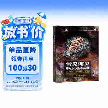 常见海贝野外识别手册