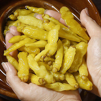 云南特产泡椒小米辣泡椒水小米椒子野山椒剁椒凤爪泡菜调味料贵州