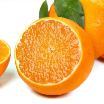 灵鹰谷 福建省漳州市红美人柑柚 贵妃柑 新鲜水果果冻橙 手剥柚子水果