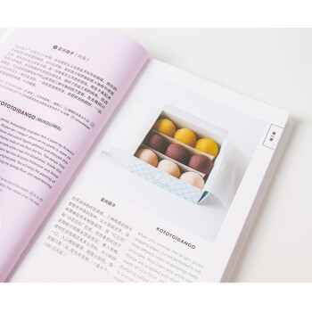 东京艺术之旅 和果子 美术出版社书籍编辑部 中信出版社 