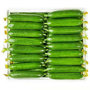 【批发价】水果小黄瓜新鲜采摘寿光无刺荷兰黄瓜青瓜蔬菜生吃整箱 3斤