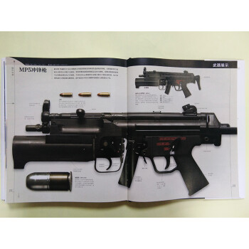 新史纪丛书·DK武器大百科：一部兵器与装甲的视觉史