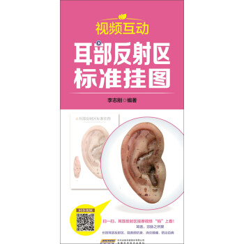 中国首创二维码挂图：视频互动耳部反射区标准挂图（防水 耐折 撕不烂）