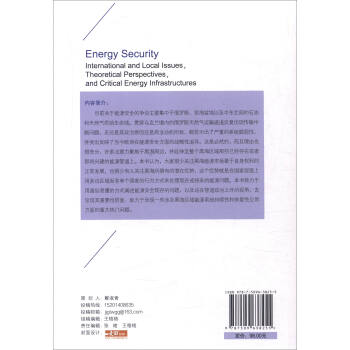 能源安全：全球和区域性问题、理论展望及关键能源基础设施