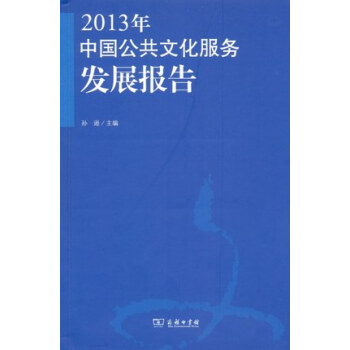 2013年中国公共文化服务发展报告