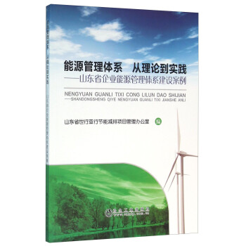 能源管理体系从理论到实践：山东省企业能源管理体系建设案例