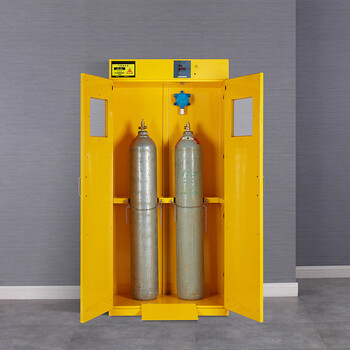 洛克菲勒 实验室钢瓶柜 医院双气瓶柜 安全柜气瓶储存柜