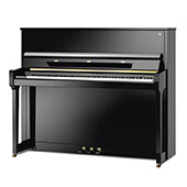 SCHIMMEL 160