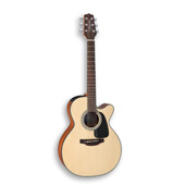 Eastman 伊斯特曼AC-422CE