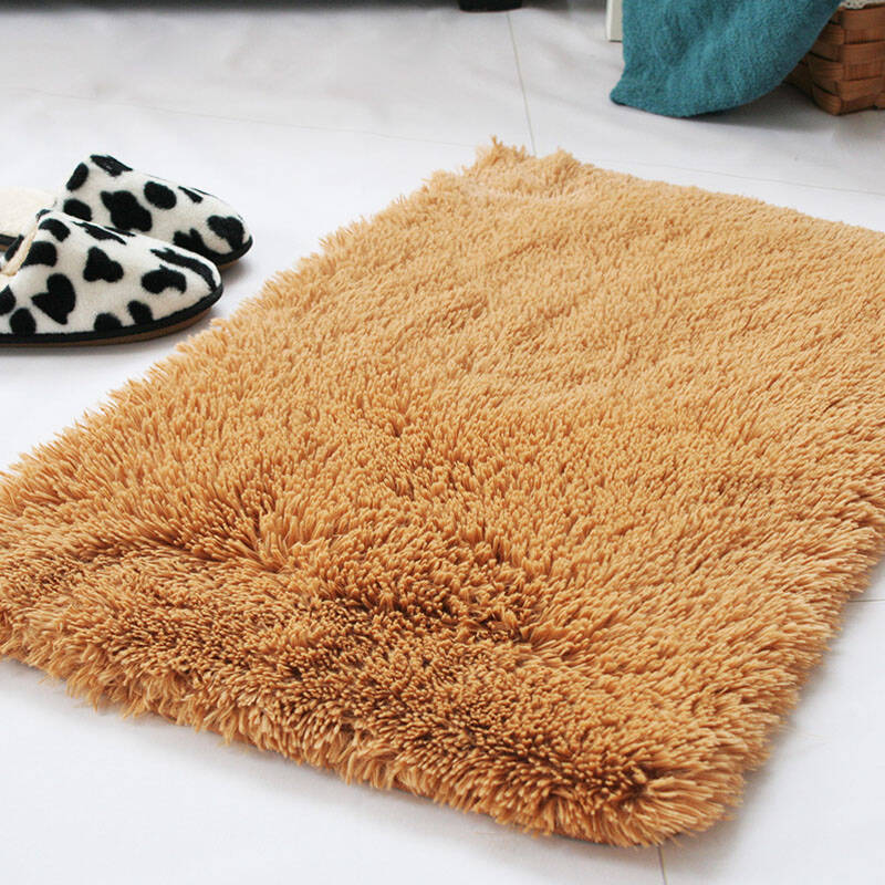 瑞恩 加厚长绒金丝绒/丝毛地毯地垫 客厅卧室飘窗茶几0.5*0.