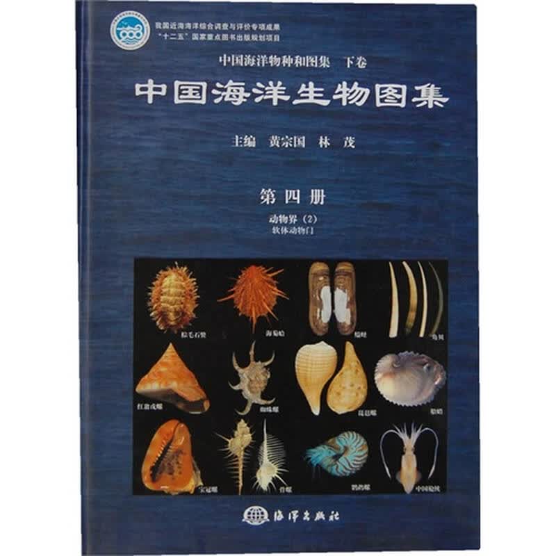 中国海洋生物图集(第四册)