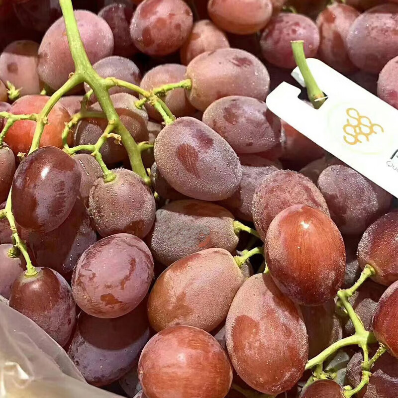 顺丰直达澳洲桂花香无籽红提2斤无核葡萄带香味脆甜时令新鲜水果坏果
