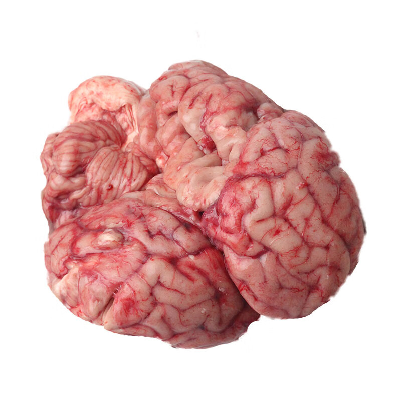 果亦橙[jd物流】牛脑新鲜牛脑1/2副黄牛脑火锅食