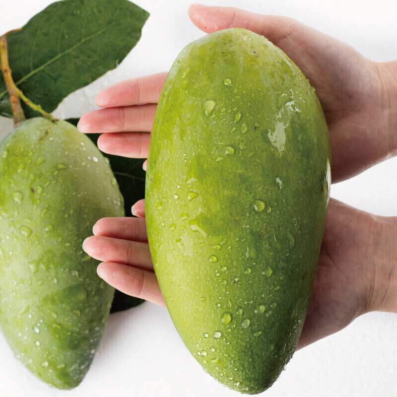 棠鲜生新鲜广西大青芒新鲜时令水果大青芒 大青芒10斤装